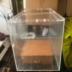 (決まりました)60㎝アクリル水槽の画像