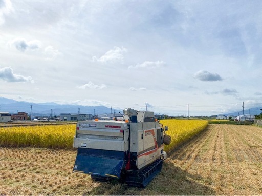 令和7年度産　長野米30kg（玄米
）