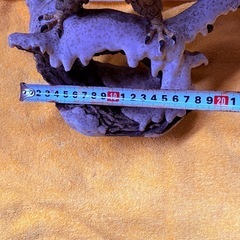 置き物、オブジェ、ワシ？の画像