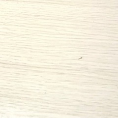 テーブル　机　白の画像