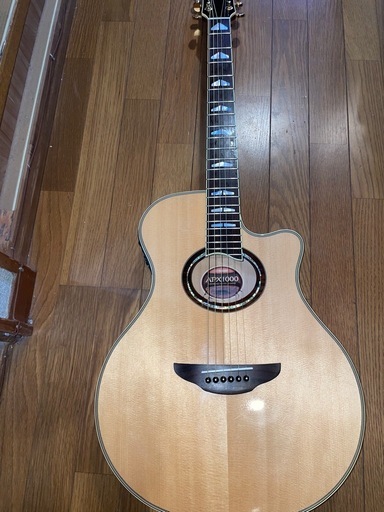 YAMAHA APX 1000 エレアコ　ナチュラル
