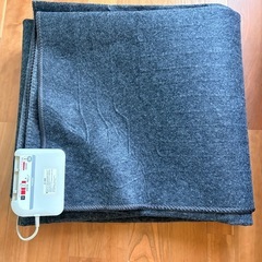 無料！　美品！　ホットカーペット　本体のみの画像