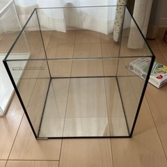30センチキューブ水槽の画像