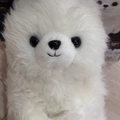 おかえりワンちゃん 白ポメラニアンの画像