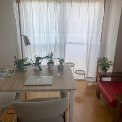 ニトリの椅子(肘付きダイニングチェア(イジー BE))の画像