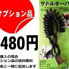 折り畳み自転車 カゴ付き  20インチ 変速無し 通勤通学 買い物 ARCHNESS AIT200の画像