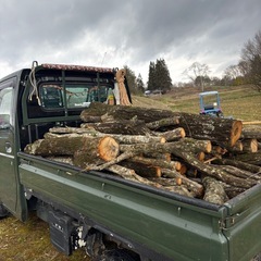 本日限り　奥州市内配達無料　コナラ　原木　切り立ての画像