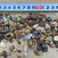 ジャミ石 ガーデニング　無料の画像