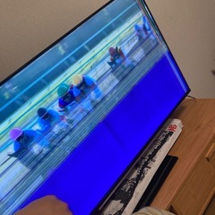 液晶テレビ　画面割れの画像
