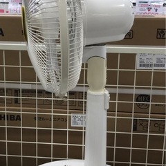 ジモティ割引有★【ジャングルジャングル岸和田店】TEカインズ　扇風機　2019年製　南大阪 岸和田市 貝塚市 泉佐野市 和泉市 忠岡町 熊取町の画像