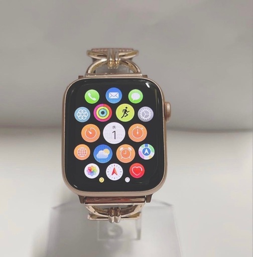 Apple watch 本体
