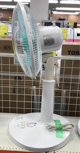ジモティ割引有☆【ジャングルジャングル岸和田店】南大阪 岸和田市 