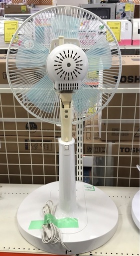 ジモティ割引有☆【ジャングルジャングル岸和田店】南大阪 岸和田市 