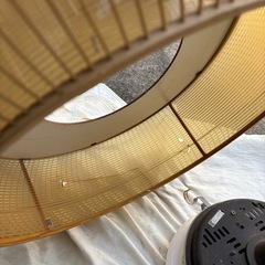 和照明　全長63センチくらいの画像