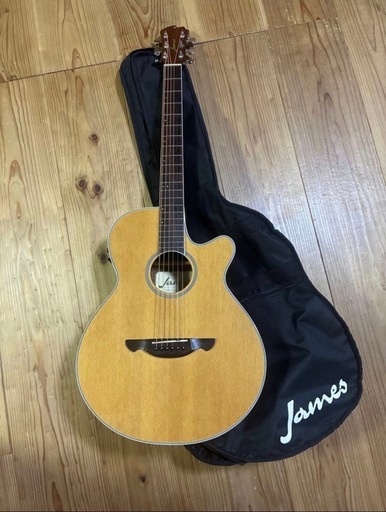 James JE450/NTA ケース付き エレアコ James JE450/NTA ケース付き エレアコ