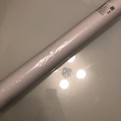 未使用　長濱ねる 2022年度 卓上カレンダー&壁掛けカレンダー の画像