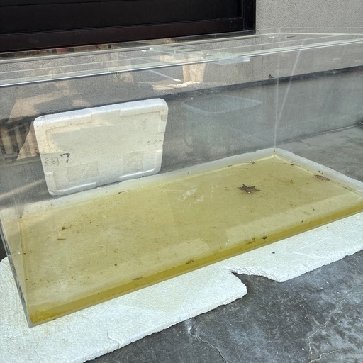 透明アクリル水槽、傷なし
