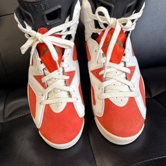 ジョーダン6 ゲータレードの画像