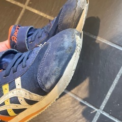 19センチ アシックス ポケモンの画像