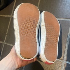18センチ vansの画像