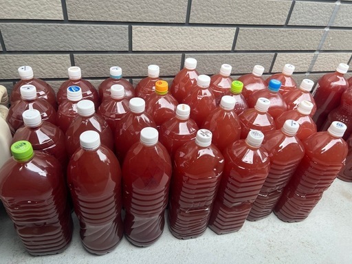 半径20kmならこちらからでも届けます50LPSB光合成細菌ペットボトル2L.900.500ml