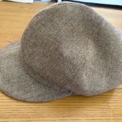 お話中　ニトリのスチールカゴ・モズの帽子・靴下の画像