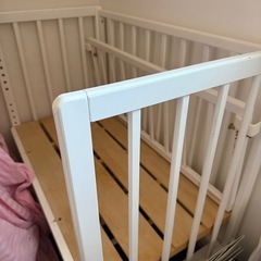 そいねーるad ミニの画像