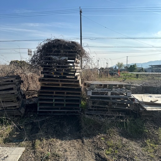 木製パレット