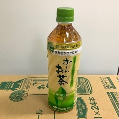 伊藤園　おーいお茶　カテキン緑茶500ML　24本　特保の画像
