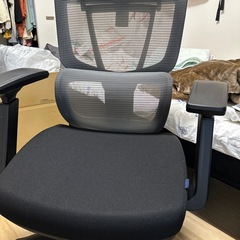 オフィスチェア メッシュ 独立式ランバーサポート 前傾機能 座面奥行き 