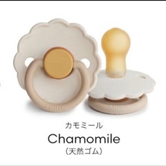 おしゃぶり　4個　ローション付の画像