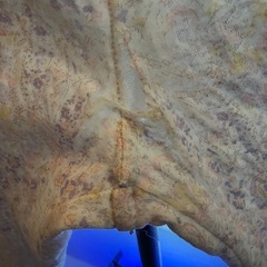 パジャマ 花柄 ①冬用 マイまくら購入 （中古） の画像