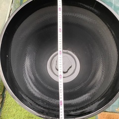 ♦️お話し中　🐶プラ鉢　メダカの画像