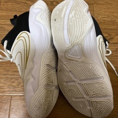 NIKEのバスケットシューズ(24.5センチ)の画像