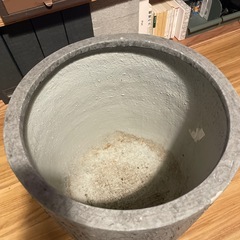 ACTUS 鉢　13号位？の画像