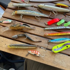 釣り用ブラ、その他の画像