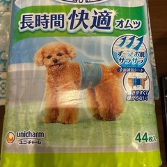 ペット用おむつ
の画像