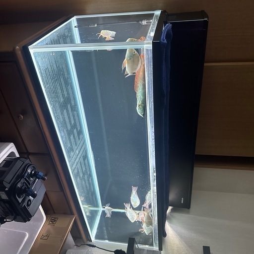 ??120ガラス規格水槽??