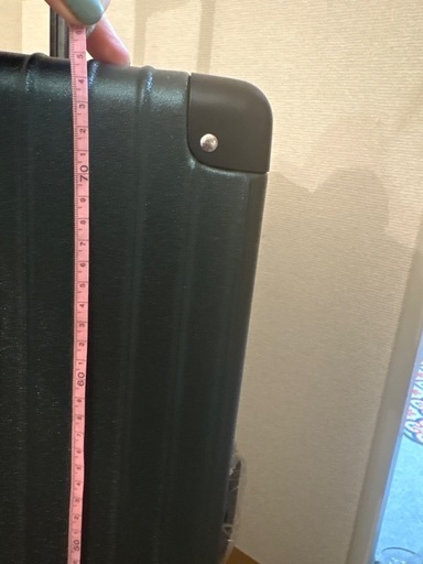 スーツケース　グリーン、Lサイズ/7泊～長期旅行向き/95L