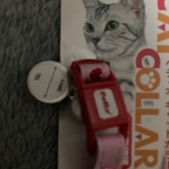 ペティオ　　猫用　首輪の画像