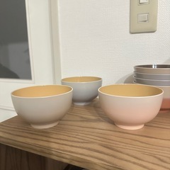 プラスチック　茶碗汁椀セットの画像