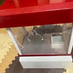 クレーンゲーム
の画像