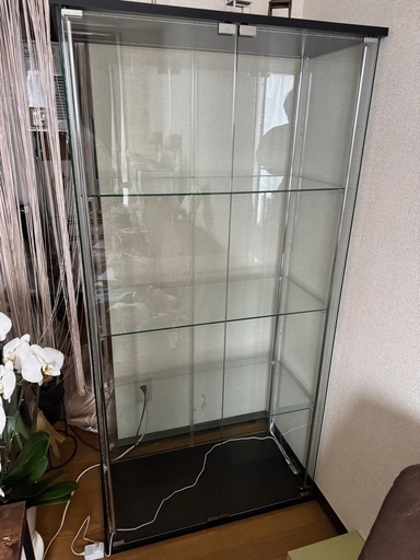 コレクションケース