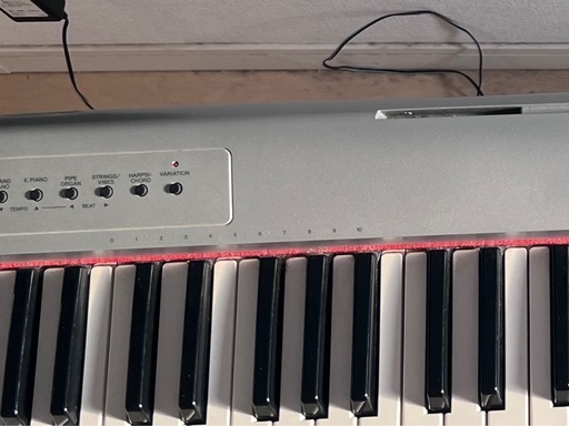 　YAMAHA NP-31S piaggero