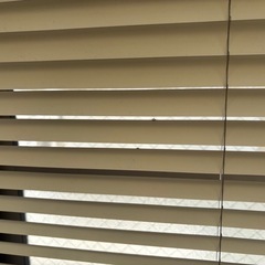 ニトリブラインドの画像