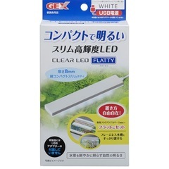 めだか　メダカ　GEX水槽セットの画像