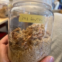 ヘラクレスオオカブト♀単③の画像