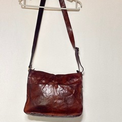 ANNA SUI 本牛革 斜め掛けバッグ A4可 雑誌収納可の画像