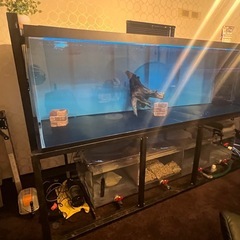 極美品　2400 水槽セット　アクリル製  の画像
