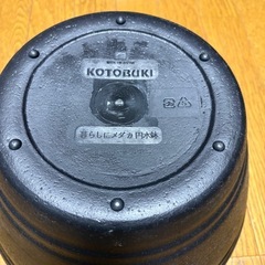 めだか　メダカ　円水鉢の画像